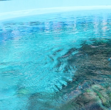 SELF-CARE imposter syndrome meaning  | reConnect Care