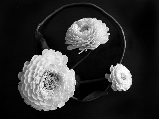 what is flow state | reConnect Care