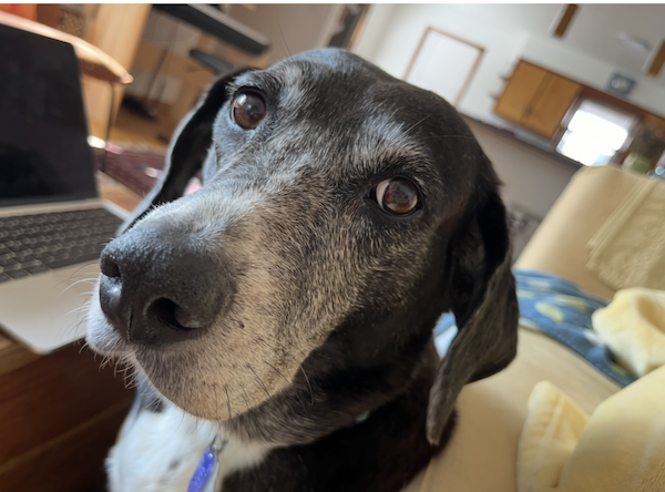 Cool Aunt Harper Barbara Bryn Klare