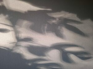 The dark underbelly of creative ambition