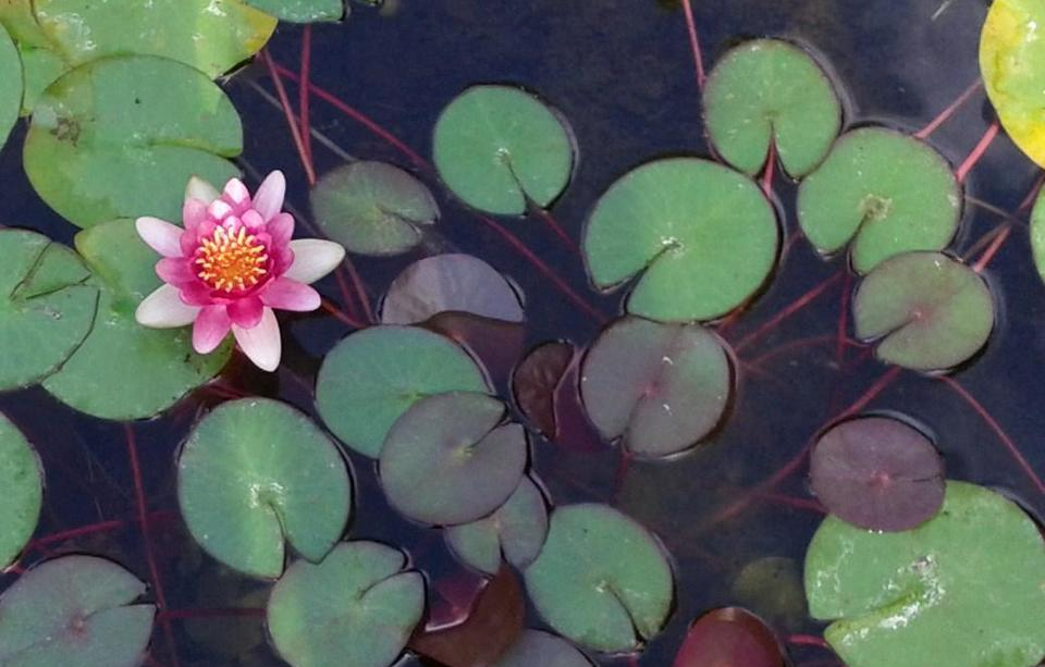 therapist athens ohio | therapy online Ohio | creative process